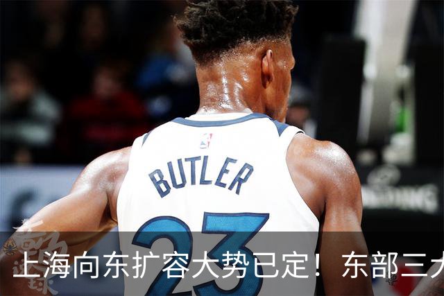 上海向东扩容大势已定！东部三大片区，谁才是发展的核心主力？