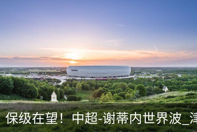 保级在望！中超-谢蒂内世界波 津门虎1-0河南取四连胜