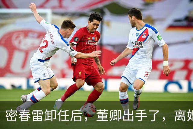 密春雷卸任后，董卿出手了，离婚传闻早已水落石出