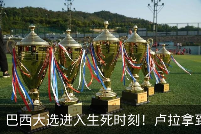巴西大选进入生死时刻！卢拉拿到罕见王牌，220万票要追上了？