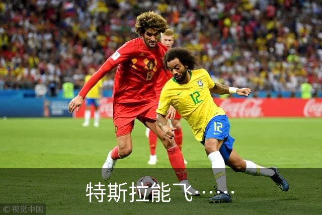 特斯拉能飞……