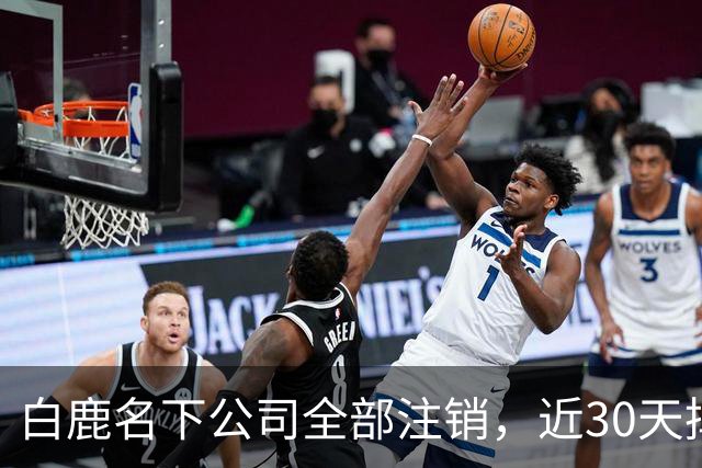白鹿名下公司全部注销，近30天掉粉超144万，独立运营过渡期引关注