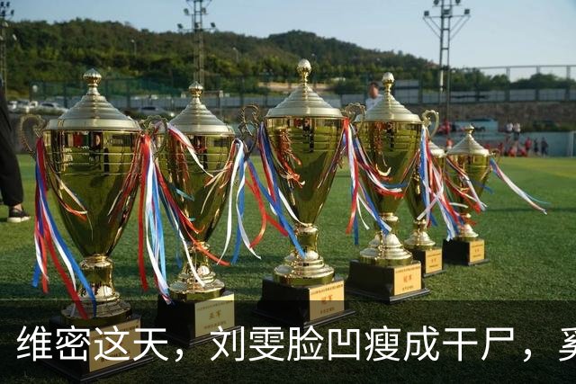 维密这天，刘雯脸凹瘦成干尸，奚梦瑶身材丰满，单依纯脸歪笑容僵