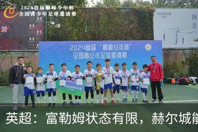 英超：富勒姆状态有限，赫尔城能否走出低谷？富勒姆VS赫尔城