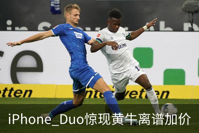 iPhone Duo惊现黄牛离谱加价