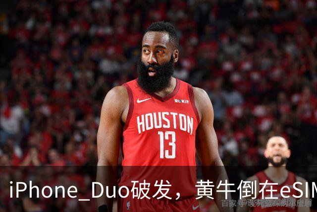 iPhone Duo破发，黄牛倒在eSIM